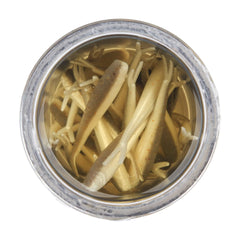 Gulp! Alive!® Minnow