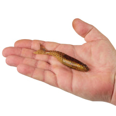PowerBait® PowerStinger